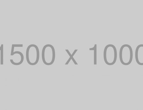 Facebook and Google’s Battling