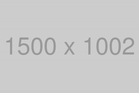 Productive Green Space Office